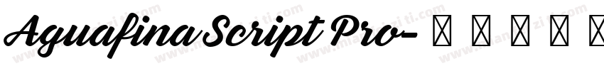 Aguafina Script Pro字体转换